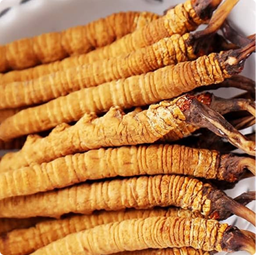 Sustainability - natural resources